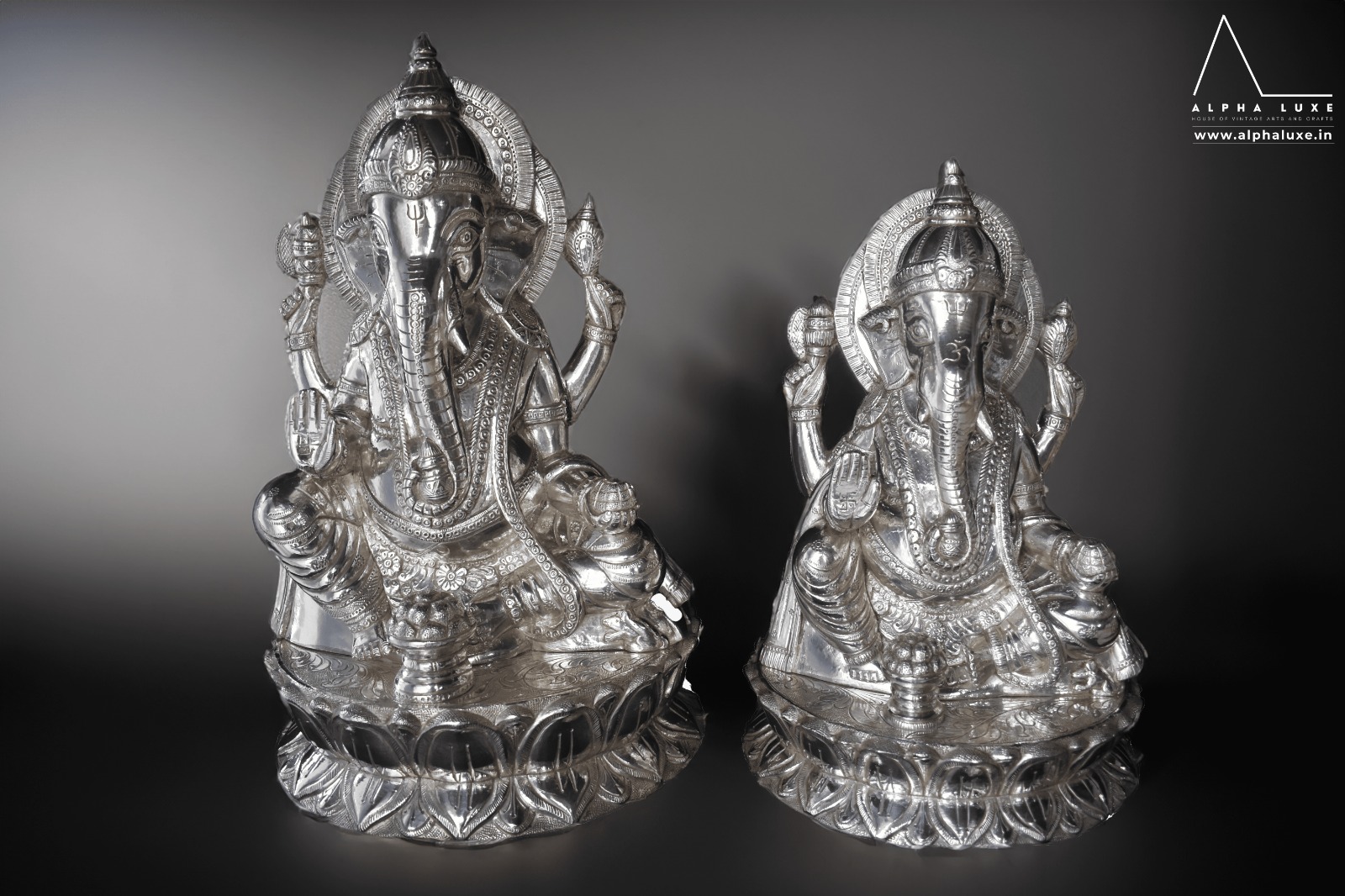 WhatsApp Image 2023-10-21 at 11.46.26 AM (4).jpeg